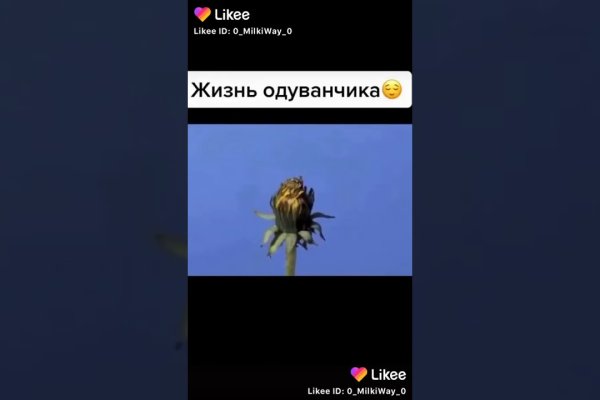 Ссылка на кракен официальный сайт